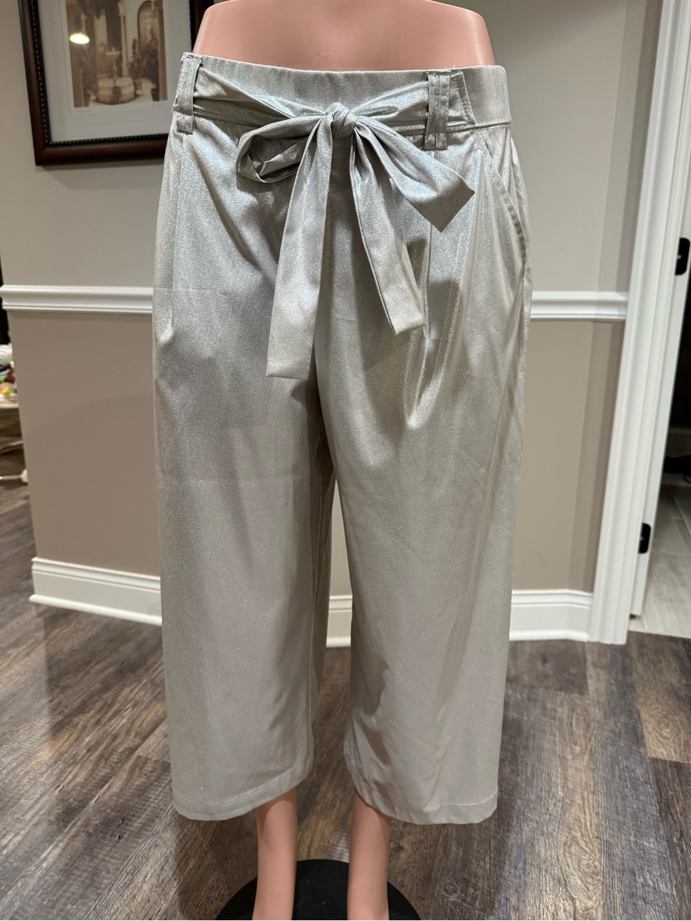 Zara Silver Wide-Leg Tie-Waist Culotte Pants